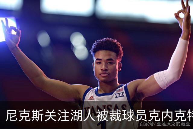 尼克斯关注湖人被裁球员克内克特，具备双向合同资格